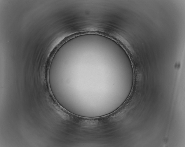 X0000092241023200709281120