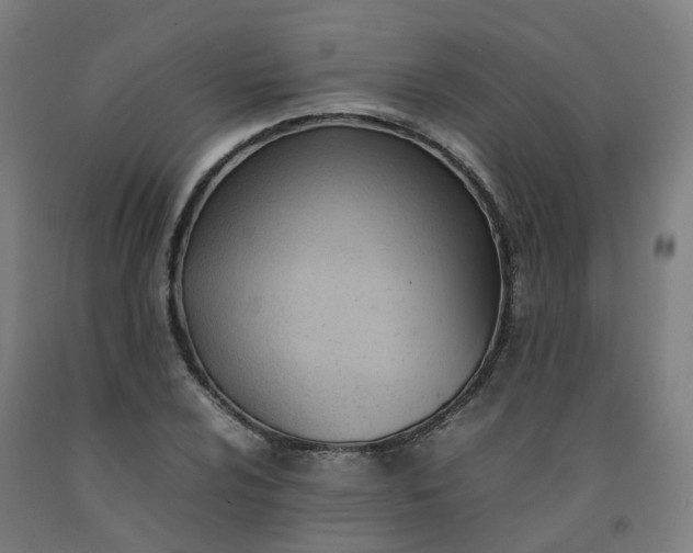 X0000092241024200709281120