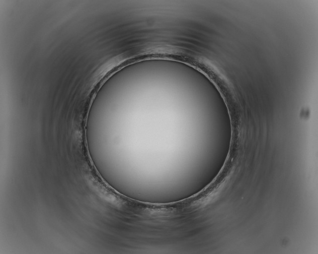X0000092241025200709281120