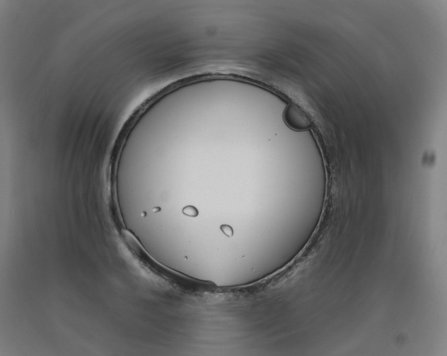 X0000092241032200709281120