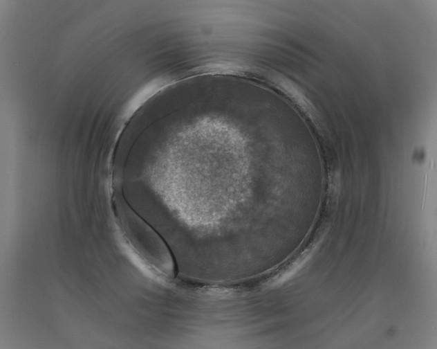 X0000092241034200709281120