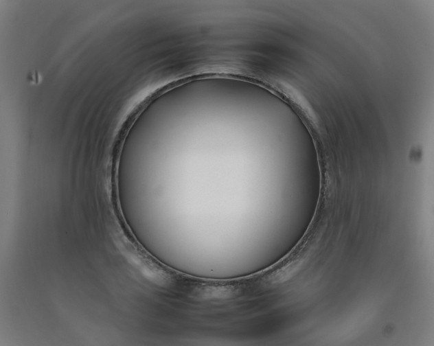 X0000092241035200709281120