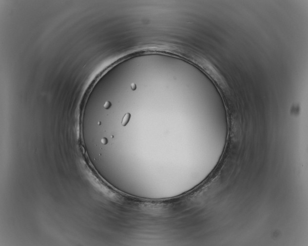 X0000092241036200709281120