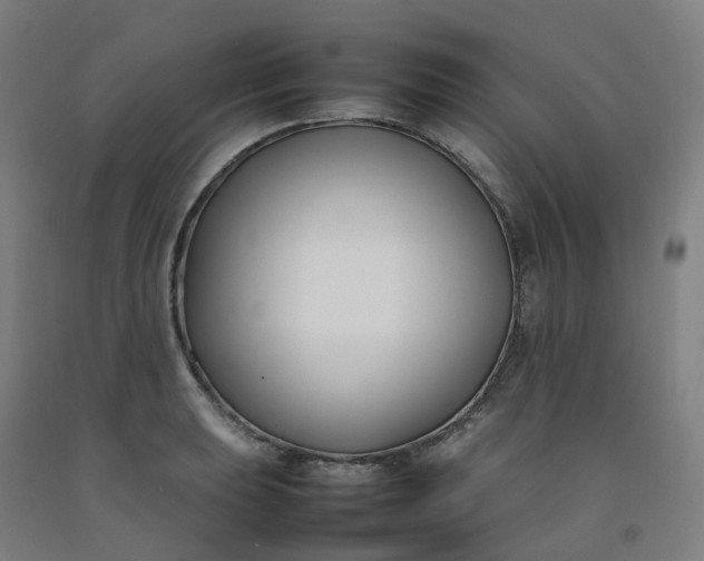 X0000092241039200709281120