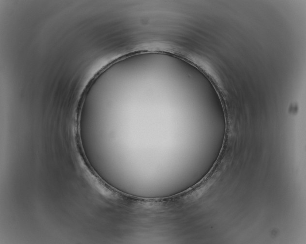 X0000092241040200709281120