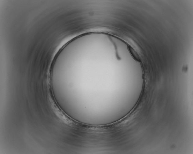 X0000092241044200709281120