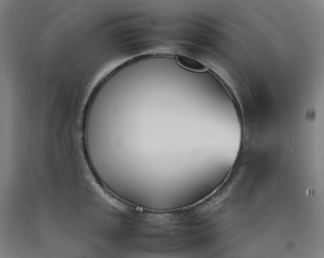 X0000092241045200709281120