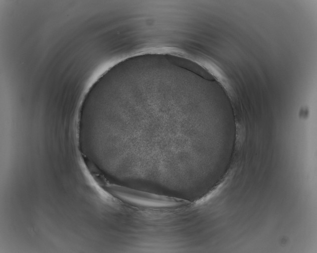 X0000092241046200709281120