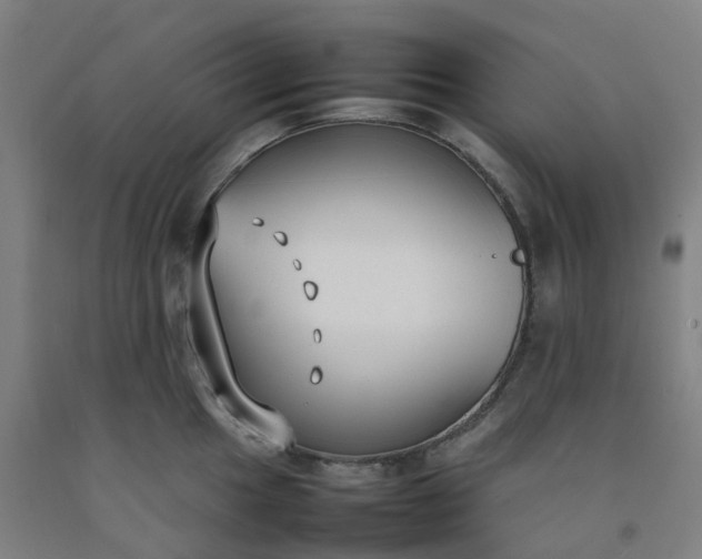 X0000092241049200709281120