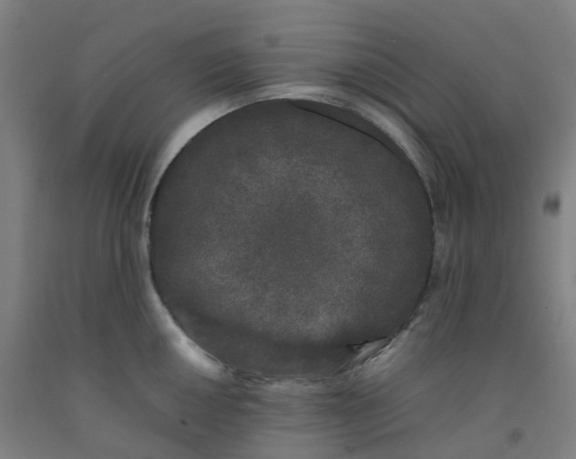 X0000092241050200709281120