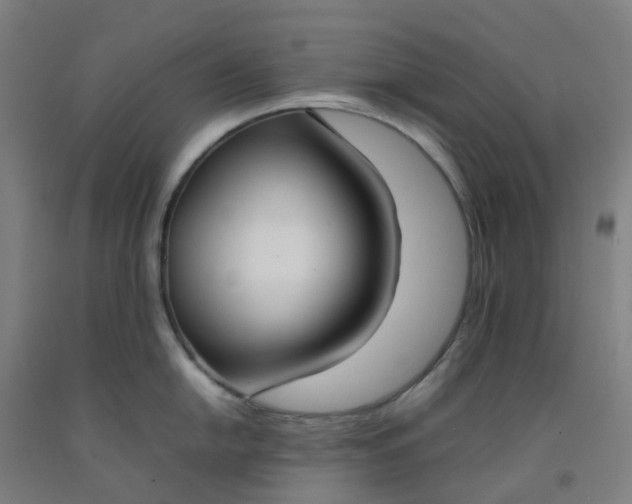 X0000092241054200709281120