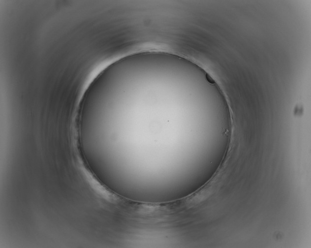 X0000092241056200709281120