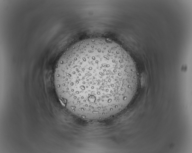 X0000092241059200709281120