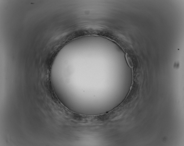 X0000092241061200709281120