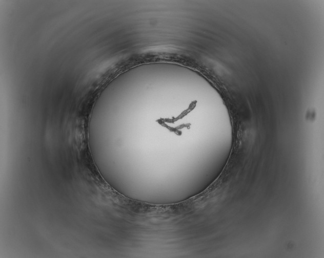 X0000092241062200709281120