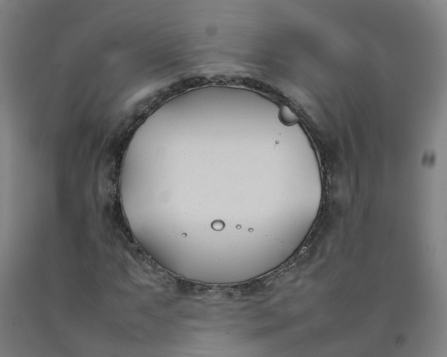 X0000092241063200709281120