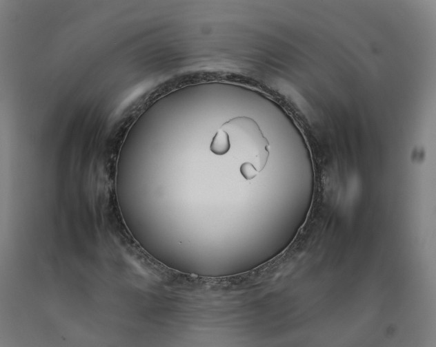 X0000092241064200709281120