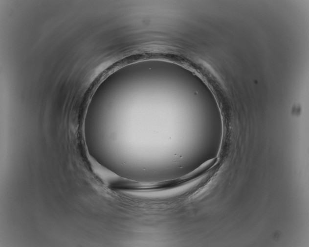 X0000092241065200709281120