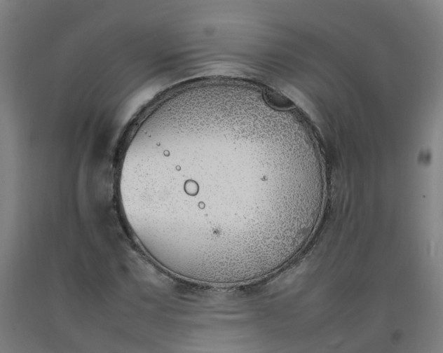 X0000092241067200709281119