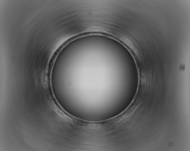 X0000092241068200709281119