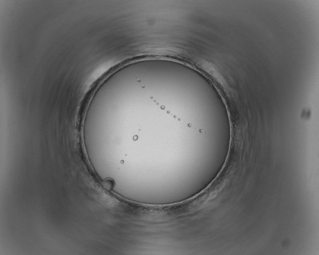 X0000092241071200709281119