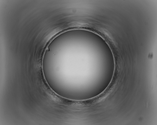 X0000092241073200709281119