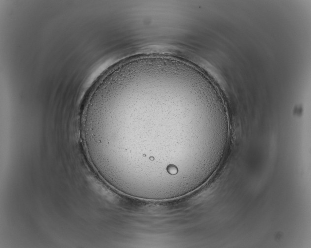 X0000092241075200709281119