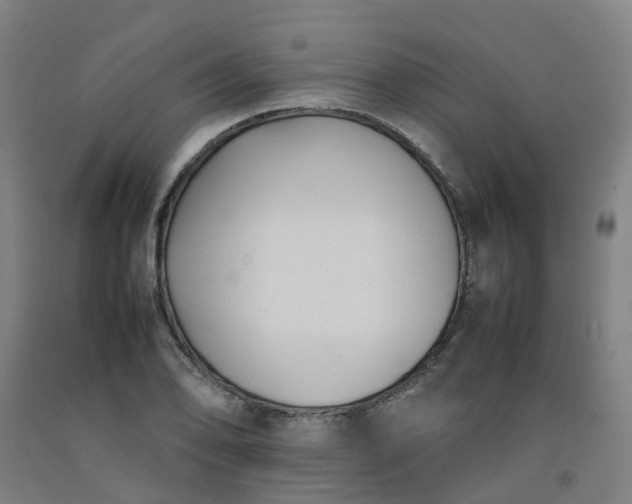 X0000092241078200709281119