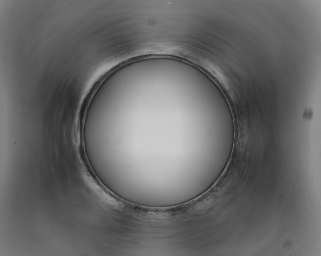 X0000092241080200709281119