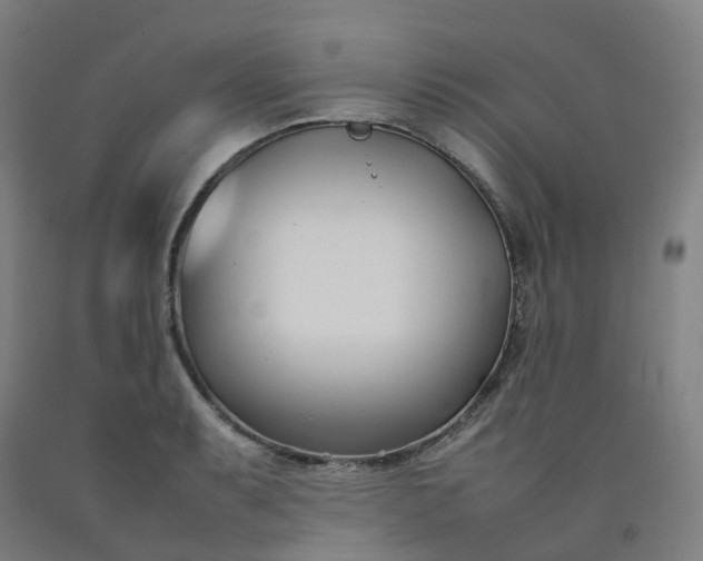 X0000092241087200709281119