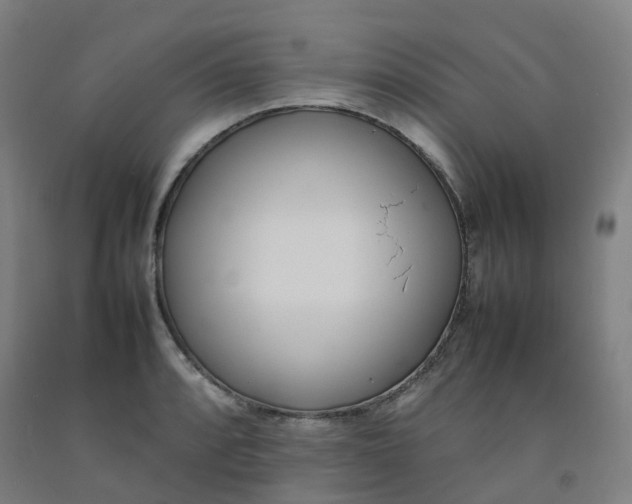 X0000092241088200709281119