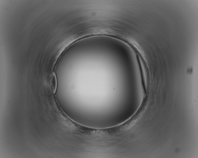 X0000092241089200709281119