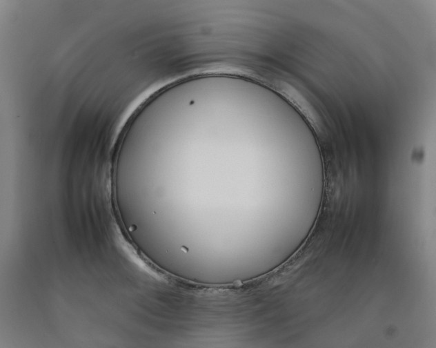 X0000092241092200709281119