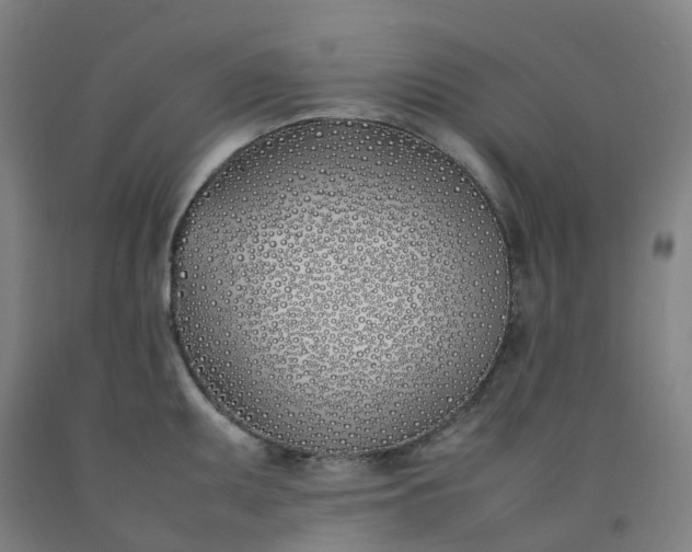 X0000092241095200709281119
