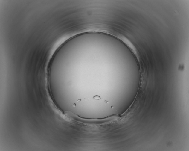 X0000092241096200709281119