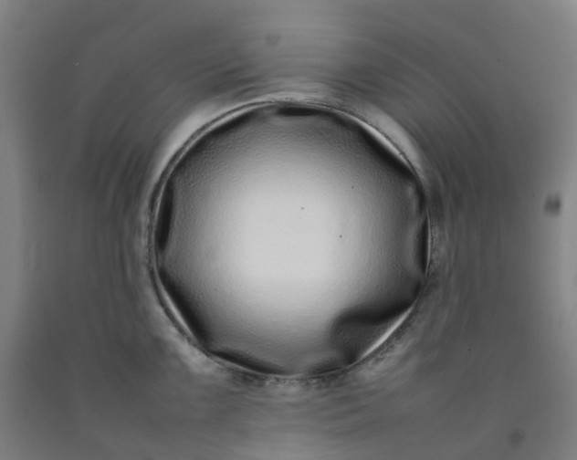 X0000092241099200709281119