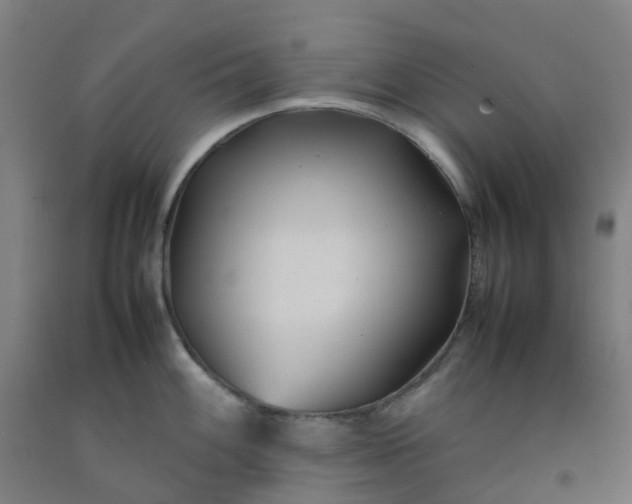 X0000092241100200709281119