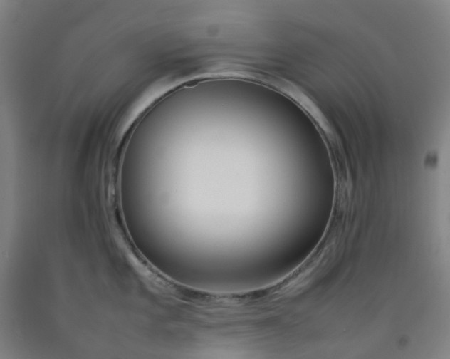 X0000092241101200709281119