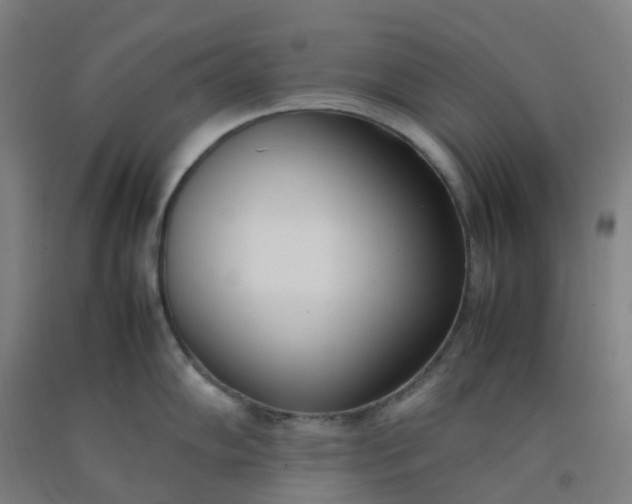 X0000092241102200709281119