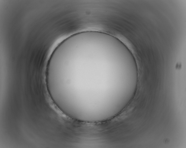 X0000092241104200709281119