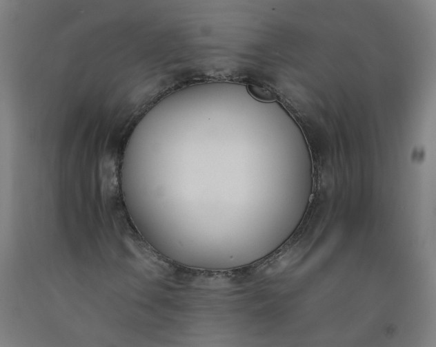 X0000092241106200709281118