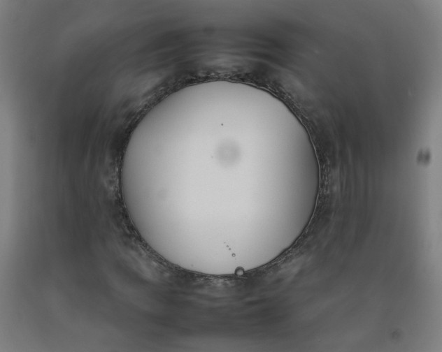 X0000092241109200709281118