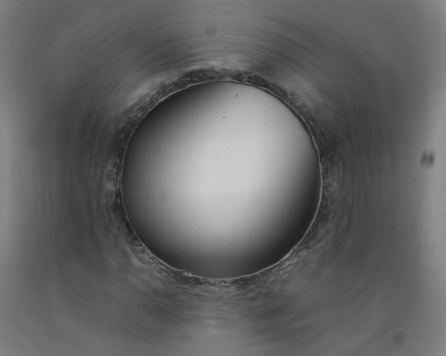 X0000092241110200709281119
