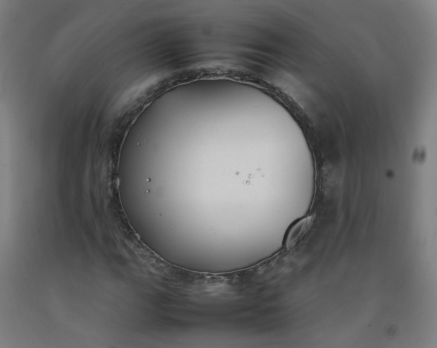 X0000092241111200709281119
