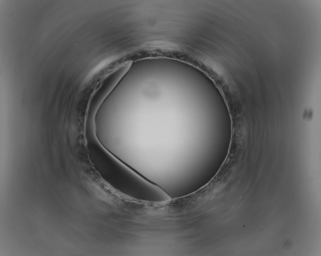 X0000092241112200709281119