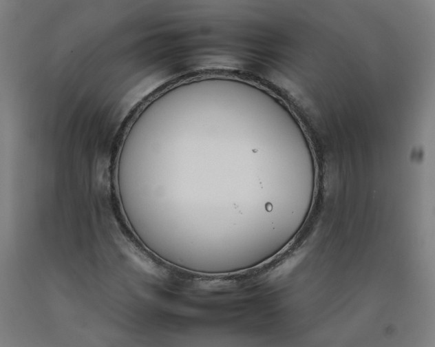 X0000092241113200709281119