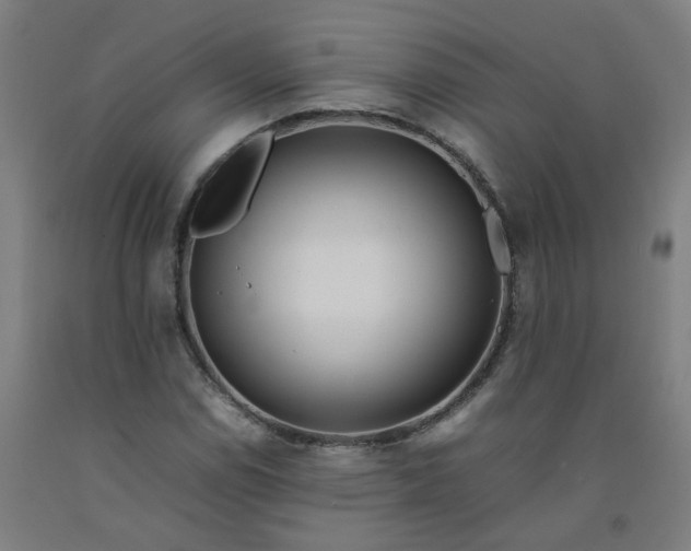X0000092241114200709281119