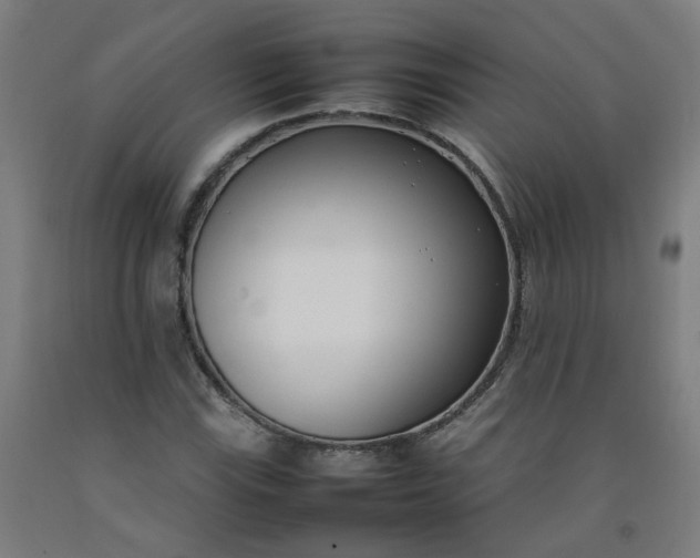 X0000092241115200709281119
