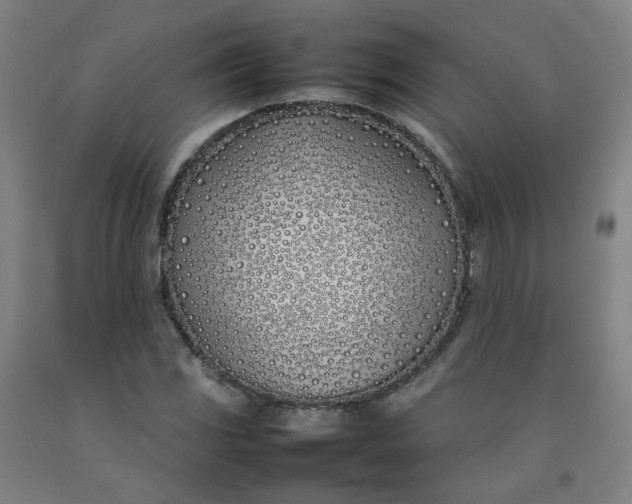 X0000092241117200709281119