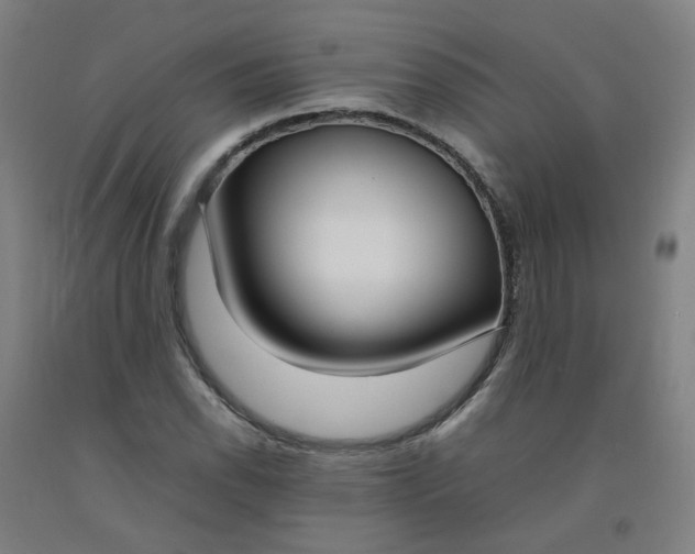 X0000092241118200709281119